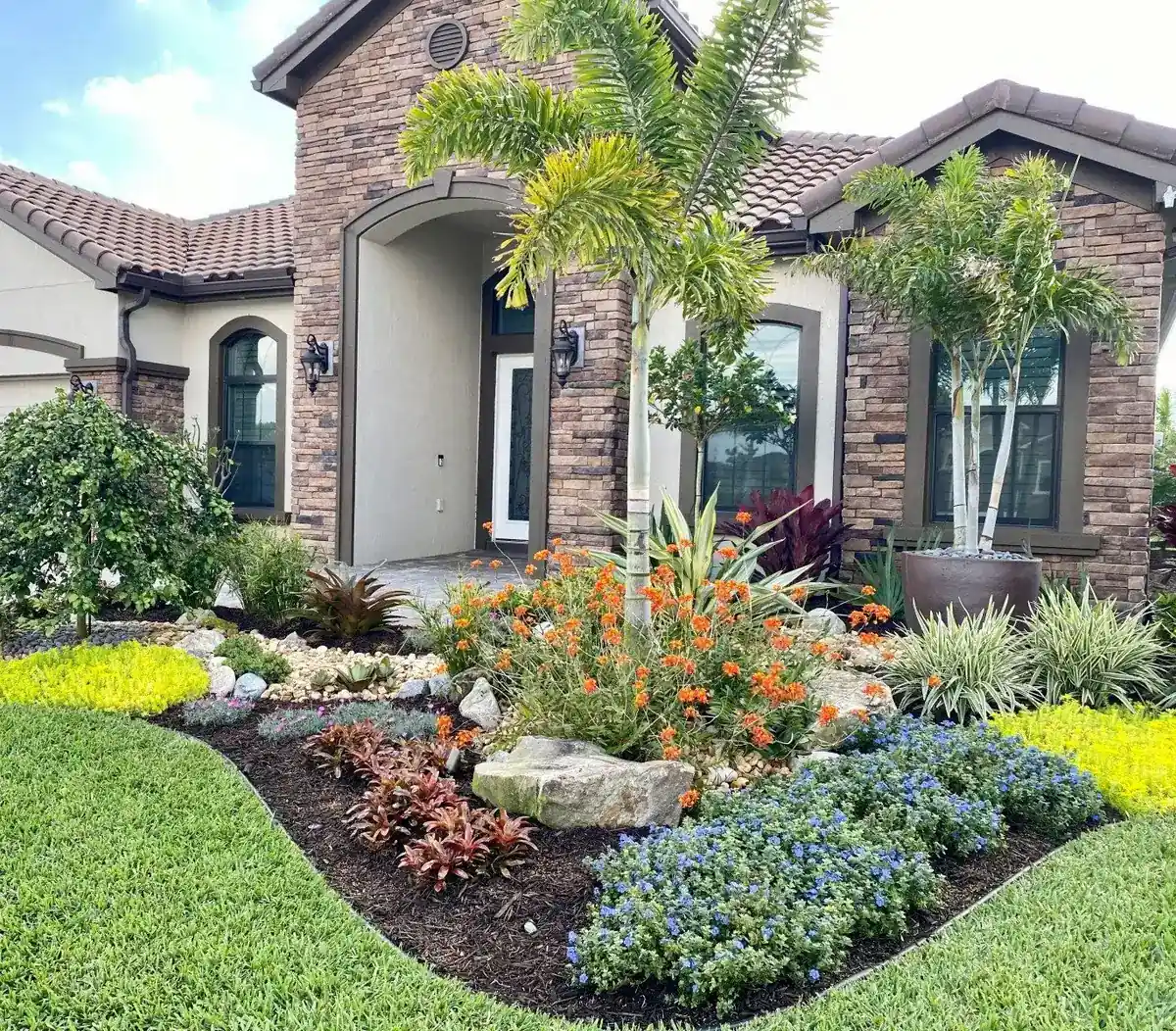 Entry bed with a foxtail palm, orange flowers, blue daze, bromeliads and a boulder against a steel-edged lawn, by The Master’s Touch Landscape and Design