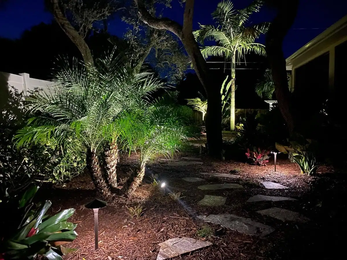 Pygmy date palm uplit at night beside a flagstone stepping path with low path lights, by The Master’s Touch Landscape and Design