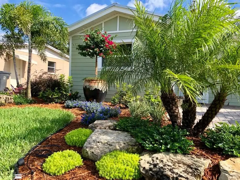Pygmy date palm above limestone boulders, golden groundcover and blue daze at a sage green home in Imperial Estates, Titusville, by The Master’s Touch Landscape and Design