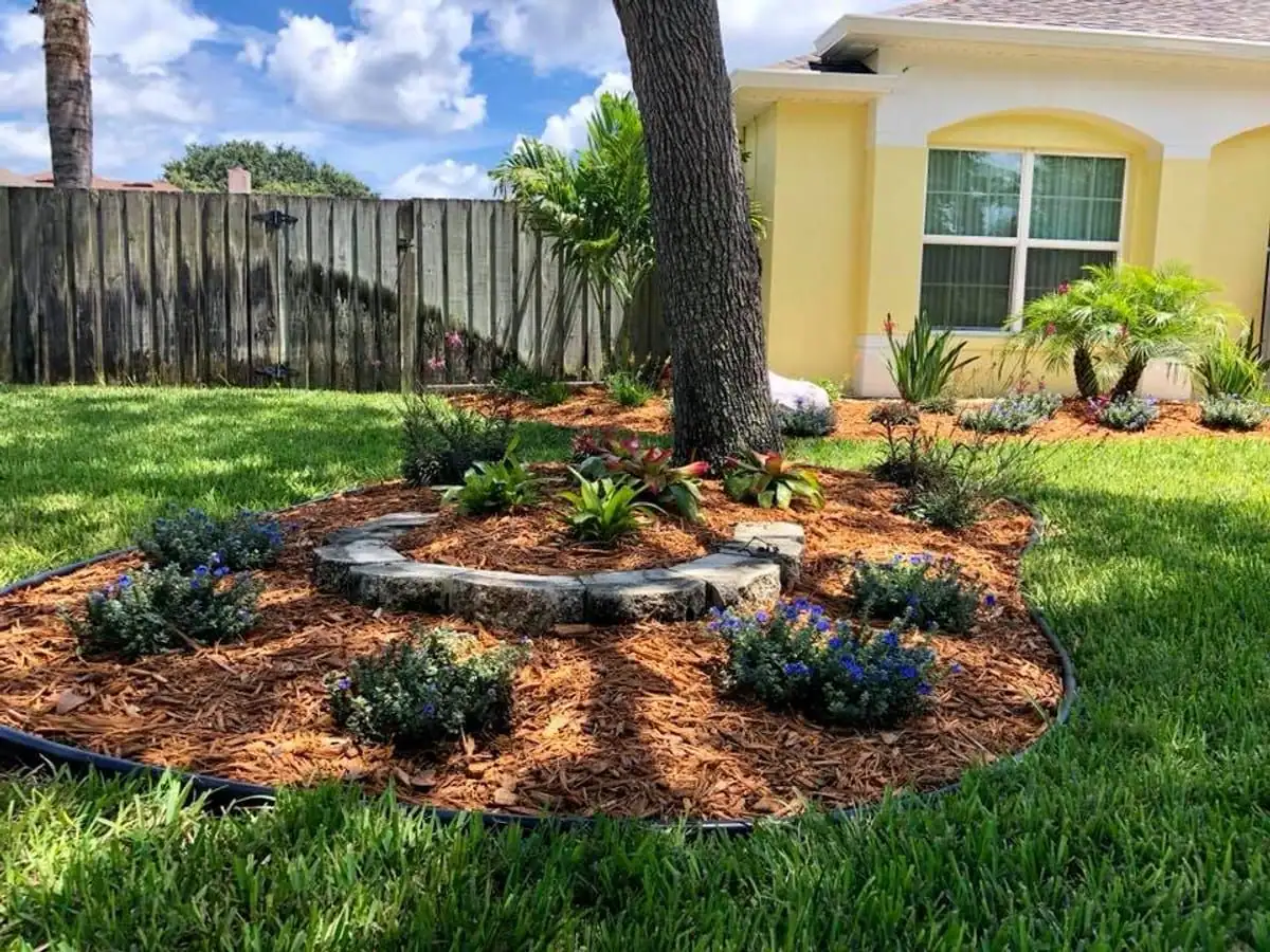 Fresh pine bark mulch bed with a stone ring at the base of a tree, blue daze and bromeliads at a yellow home, by The Master’s Touch Landscape and Design