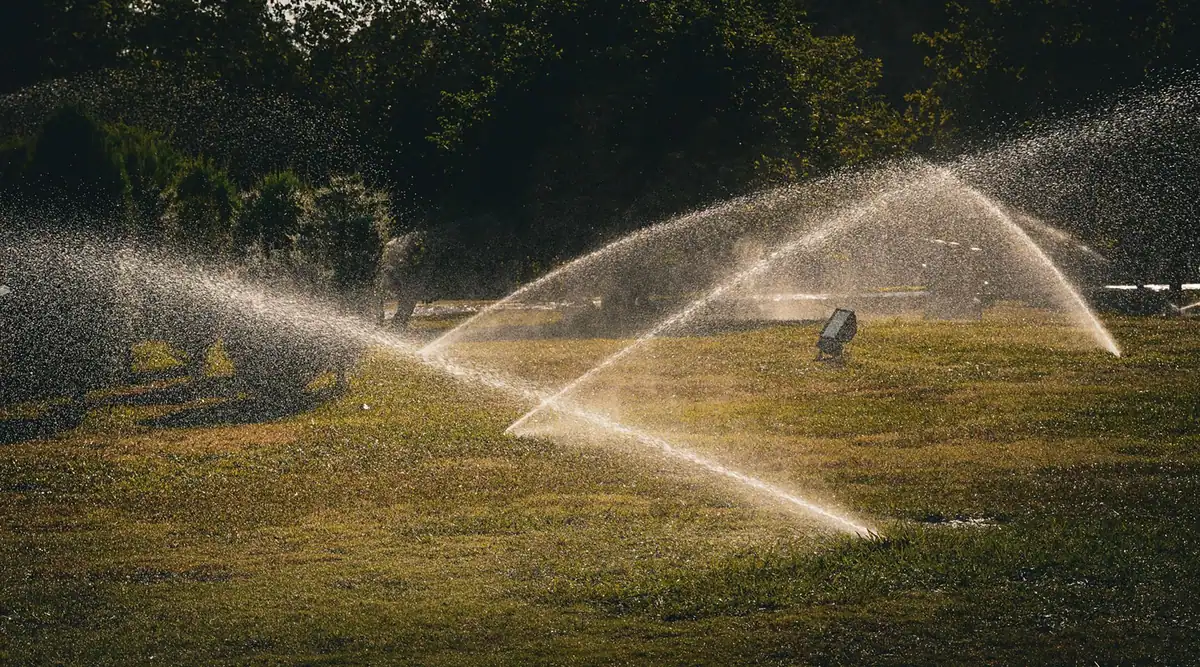 Sprinklers arcing across a wide lawn in low sun