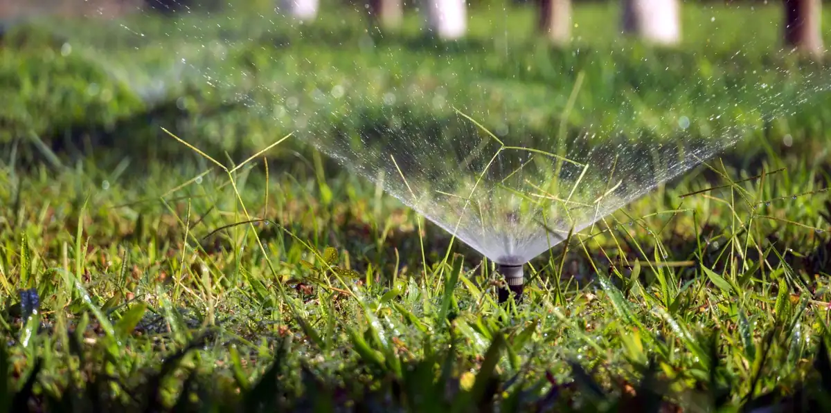 Pop-up sprinkler head spraying across a lawn in low sun